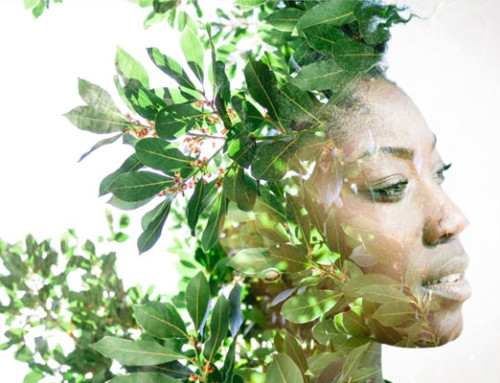 The Price of Beauty Doesn’t Have to Cost the Environment