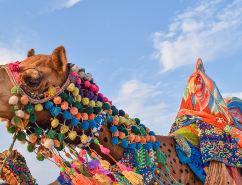 The Psychology of Color and How to Apply